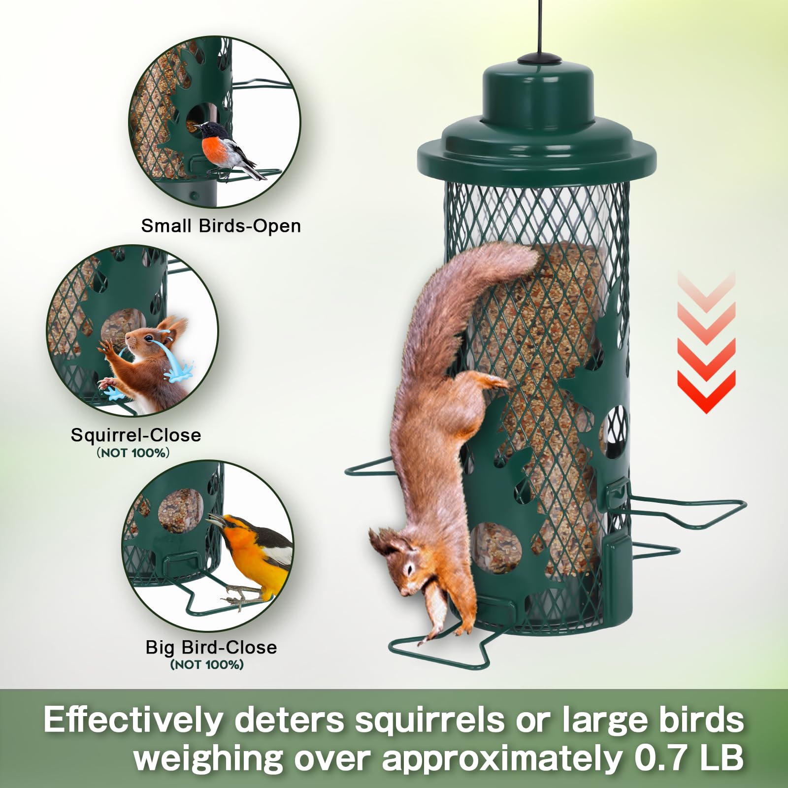 Close-up of Gbekery Bird Feeder lift-lid top