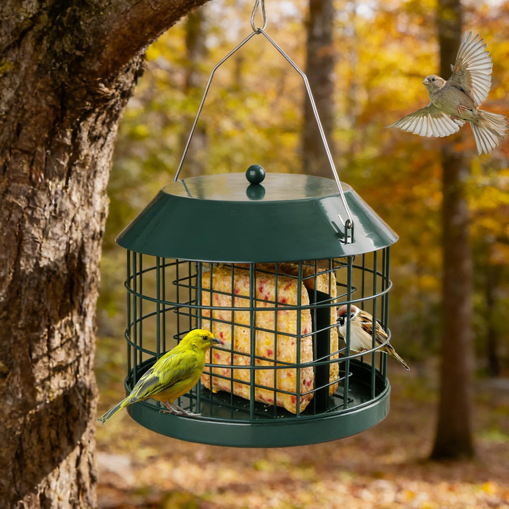 Close-up of Gbekery bird feeder's drainage holes