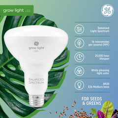 Close-up of GE BR30 grow light bulb showing white light