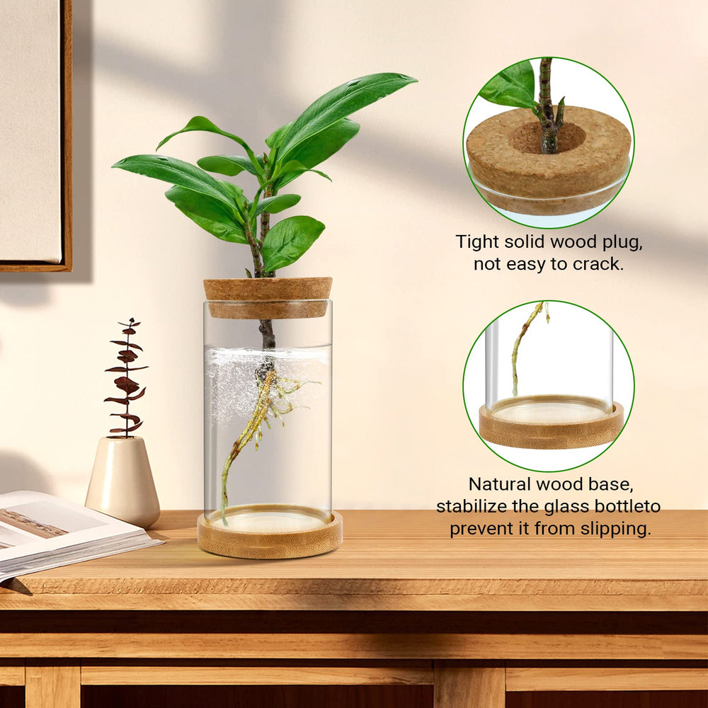 Close-up of Gicare glass propagation vase with cork stopper