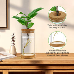 Close-up of Gicare glass propagation vase with cork stopper