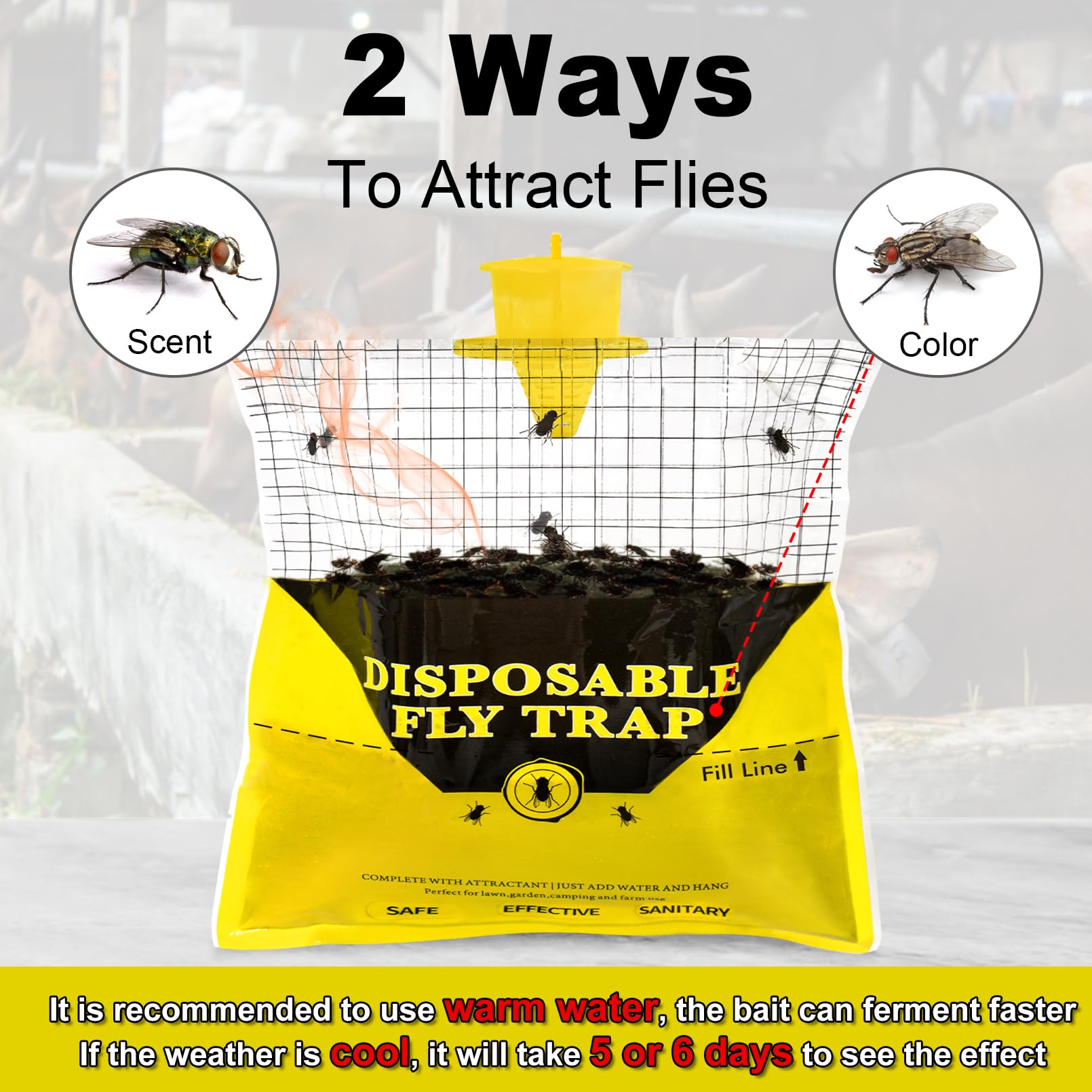Close-up of Glovv fly trap showing bait and setup instructions