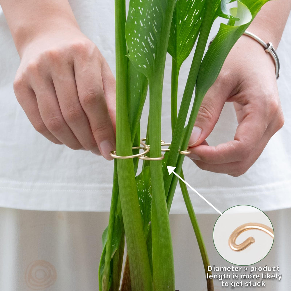 Close-up of Goooxim Monstera Plant Support Hook with soft-touch clips