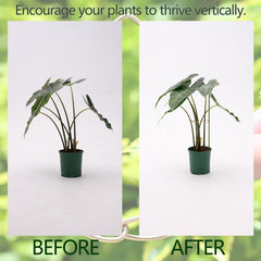 Close-up of Goooxim Monstera Stem Support Stake clips