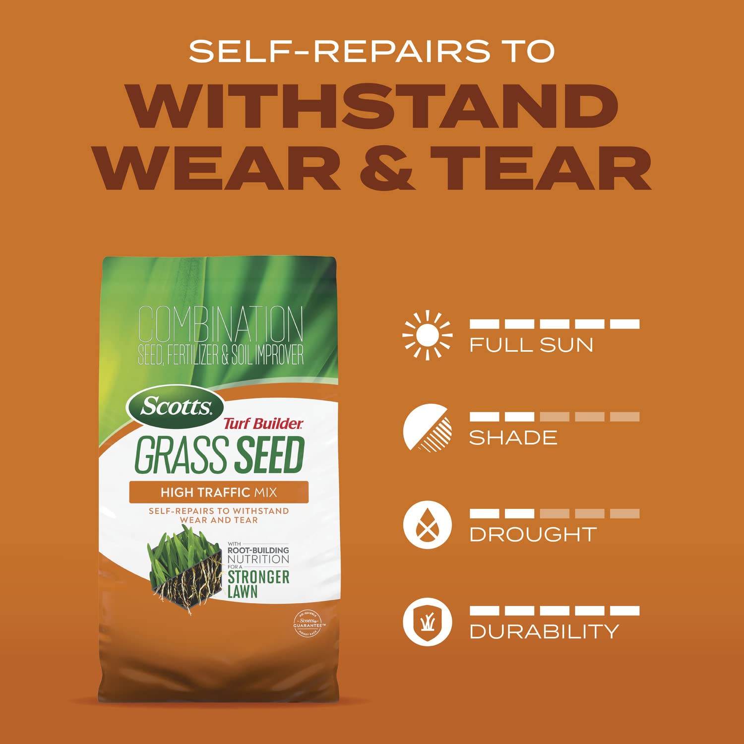 Close-up of grass growing from Scotts Turf Builder Seed