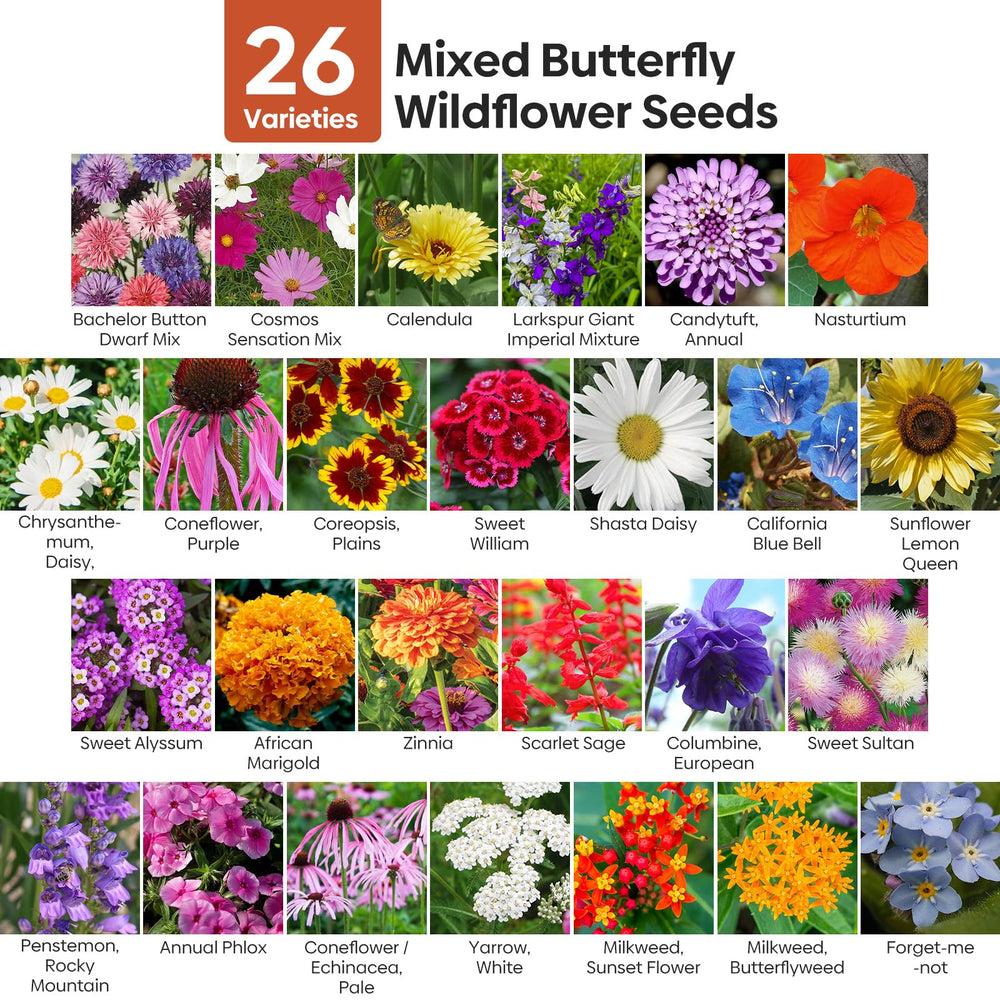 Close-up of Groundio wildflower seeds showcasing various seed types