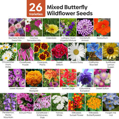 Close-up of Groundio wildflower seeds showcasing various seed types