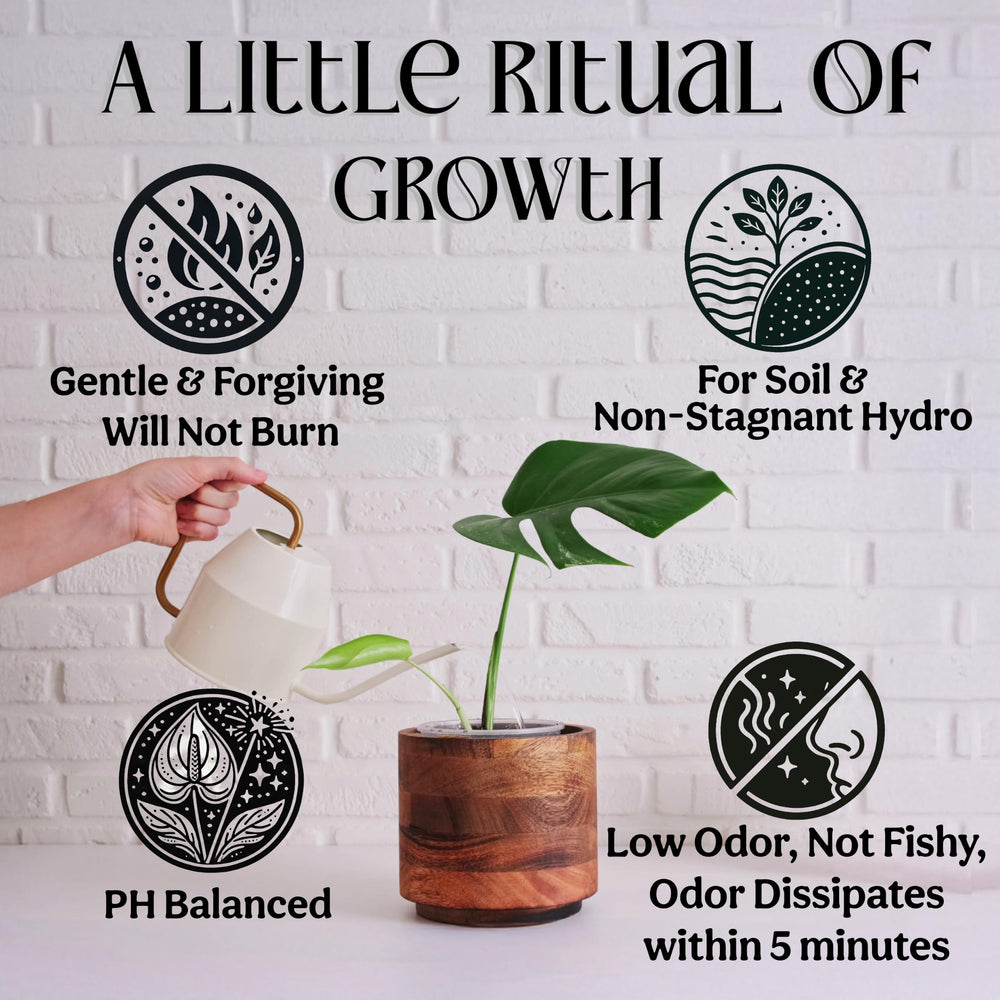 Close-up of Grow Queen Organic Liquid Fertilizer label showing NPK ratio