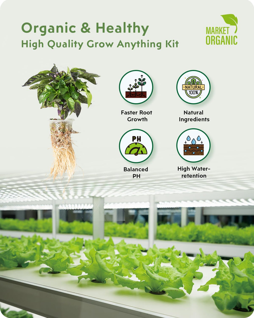 Close-up of grow sponges and baskets from URUQ kit