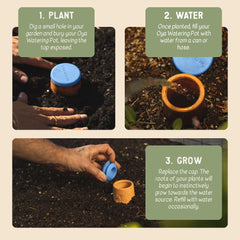 Close-up of Growoya Oya Watering Pot water level indicator