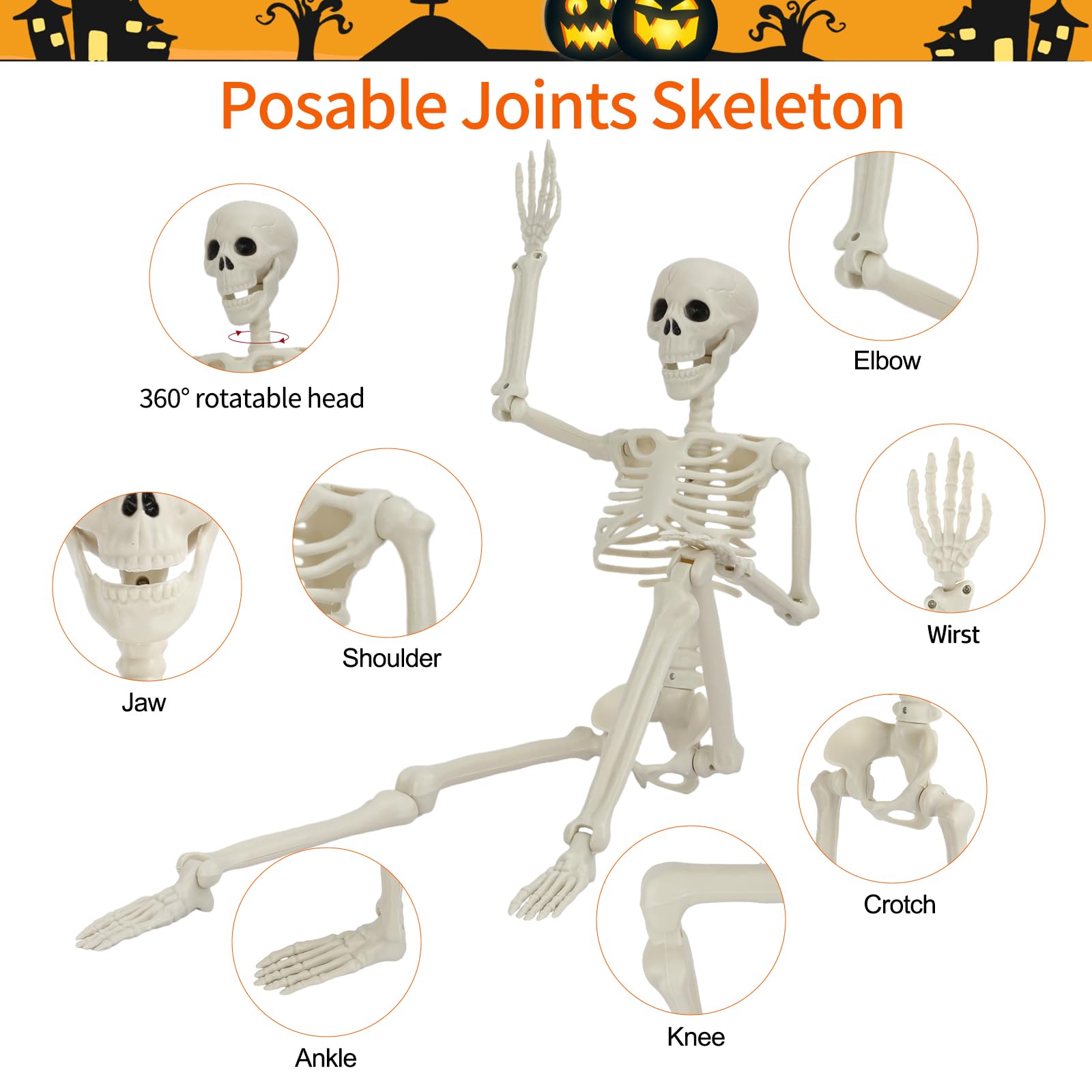 Close-up of GTYZZH skeleton's movable joints