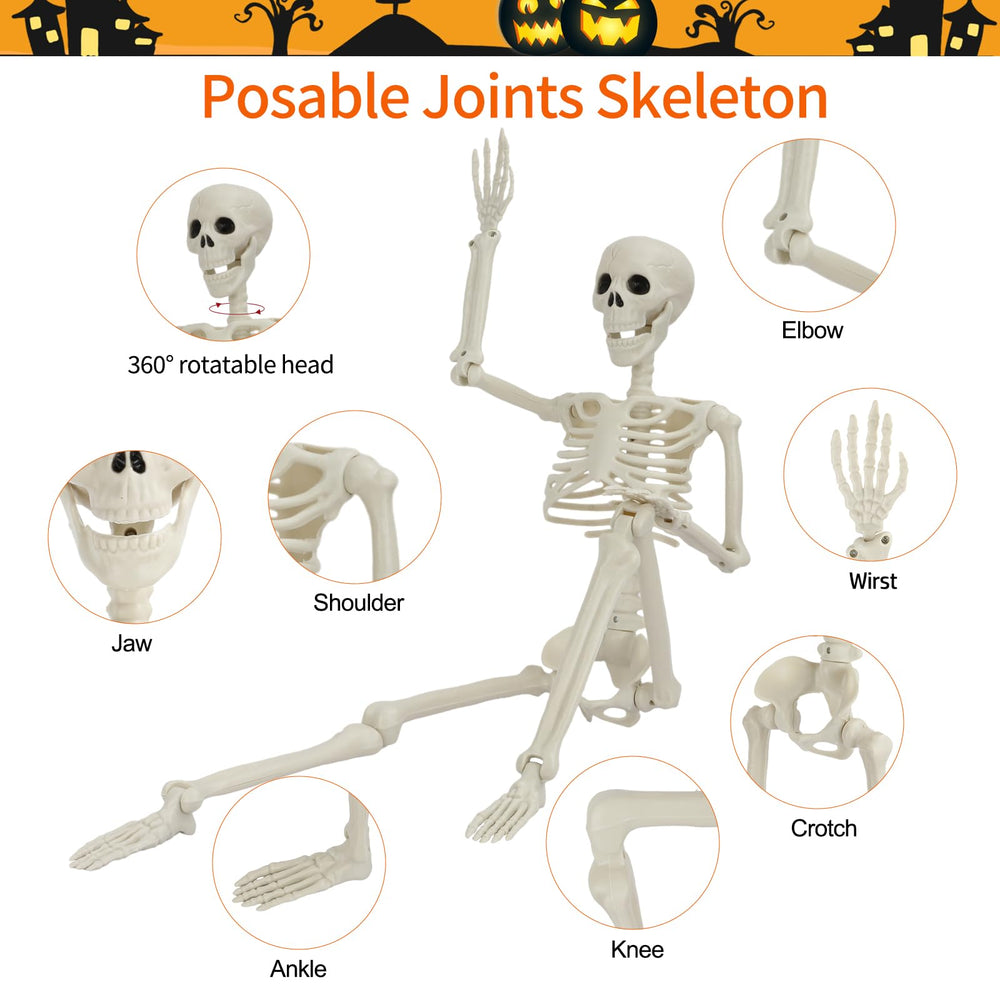 Close-up of GTYZZH skeleton's movable joints