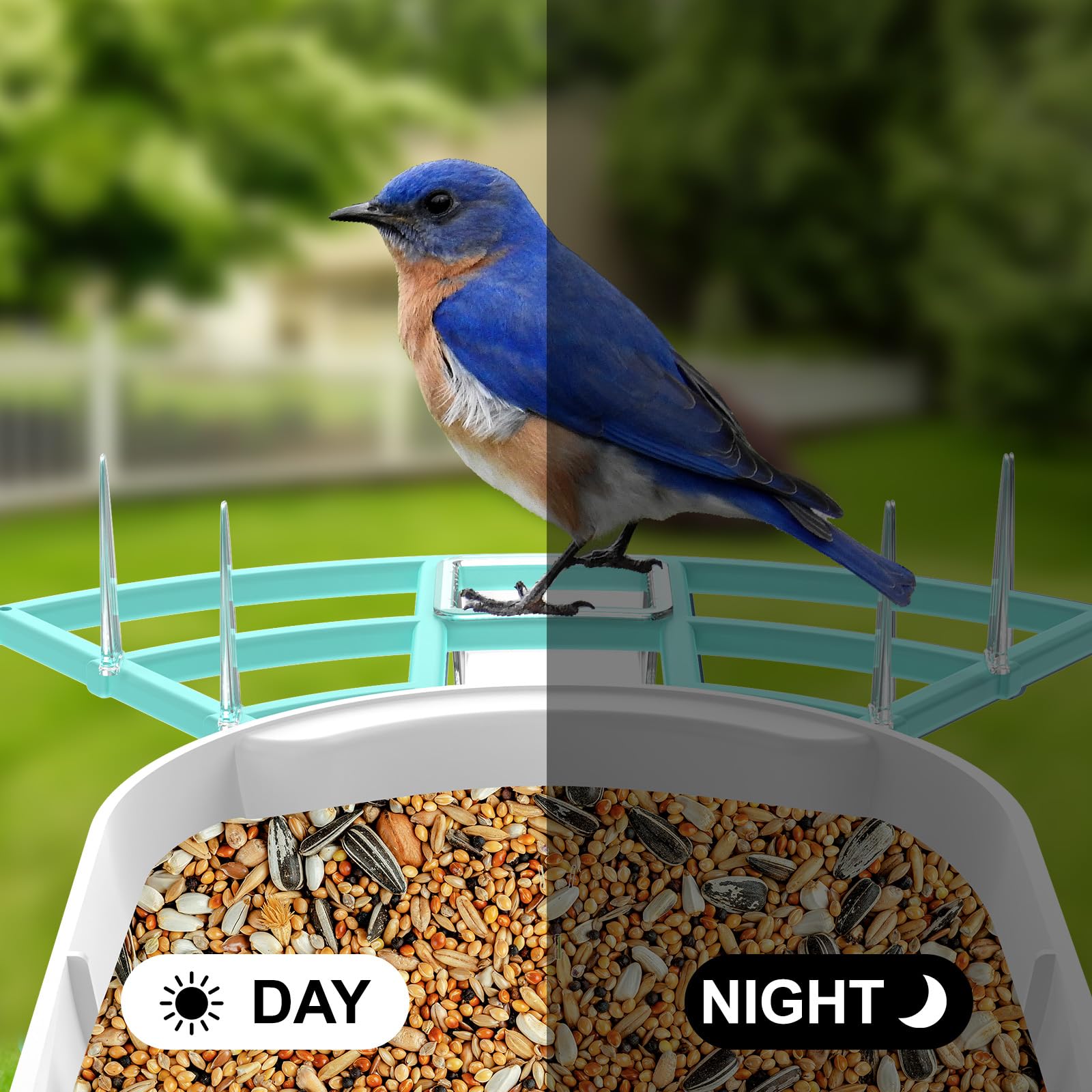 Close-up of Gyozol Bird Feeder camera lens