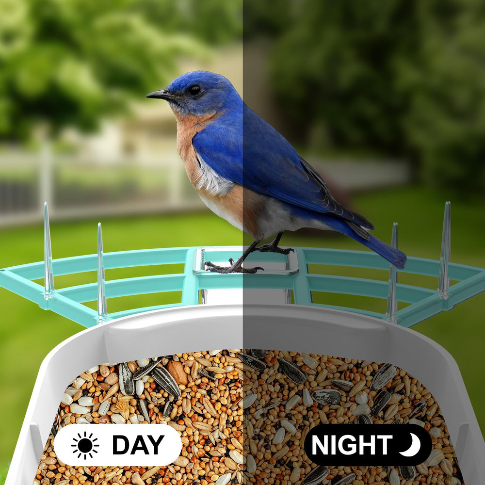 Close-up of Gyozol Bird Feeder camera lens