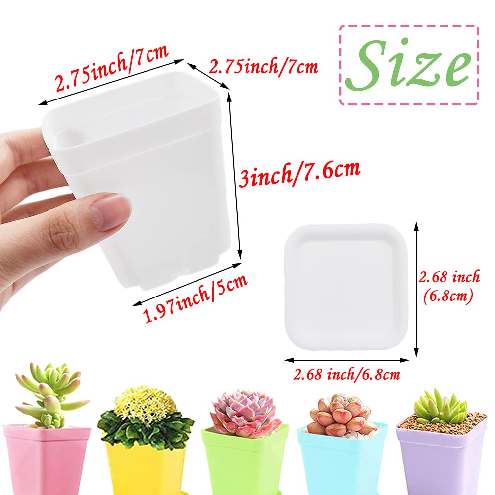 Close-up of Haawooky 3-inch plastic plant pot in blue