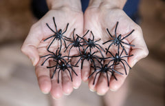 Close-up of Happy Hippo spider web decoration