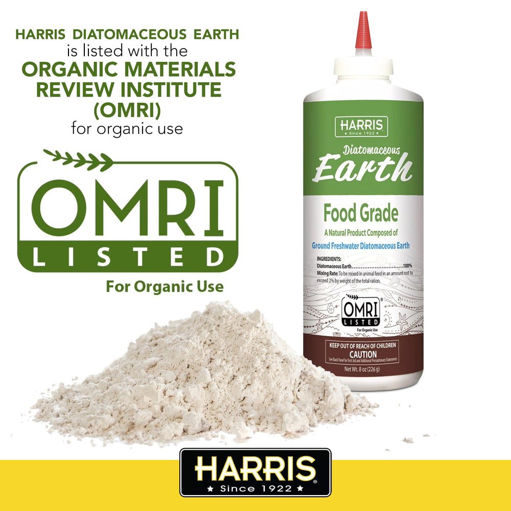 Close-up of HARRIS Diatomaceous Earth powder texture
