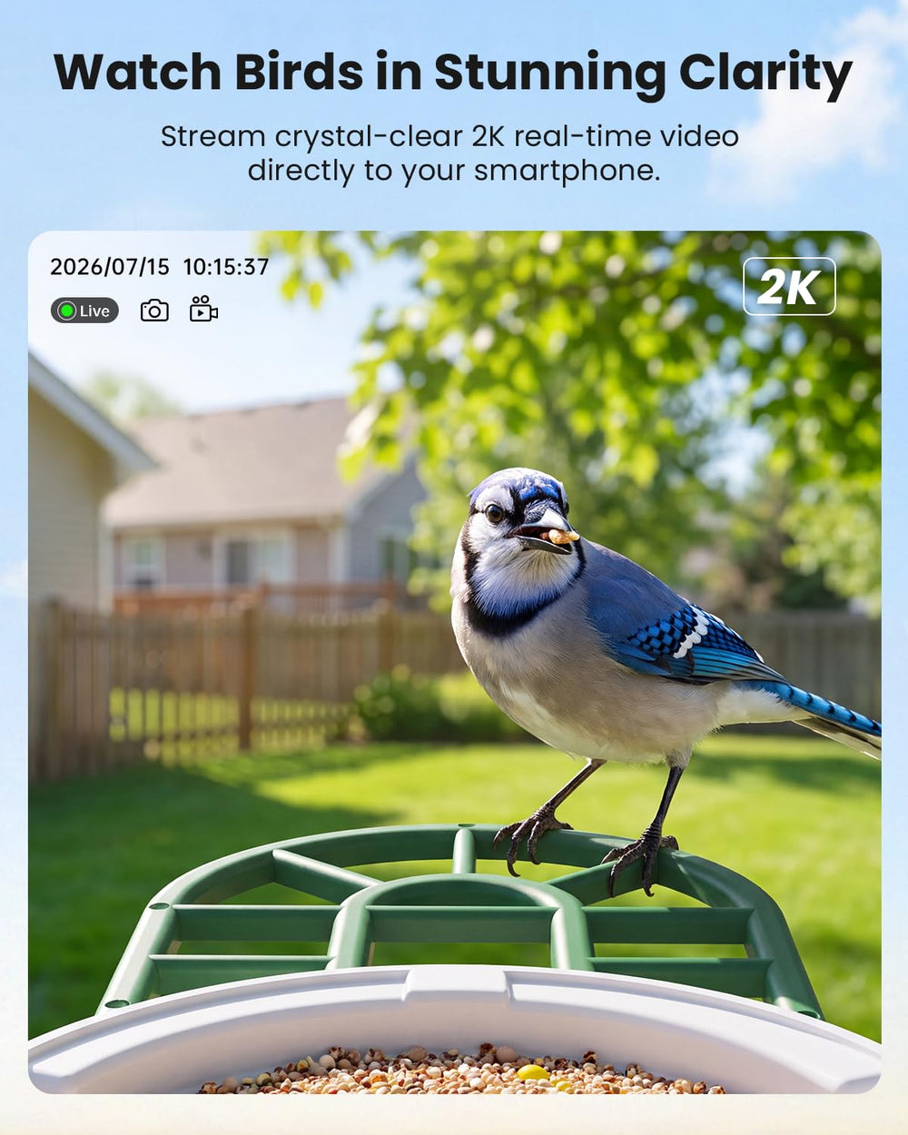 Close-up of HARYMOR Bird Feeder camera and AI identification feature