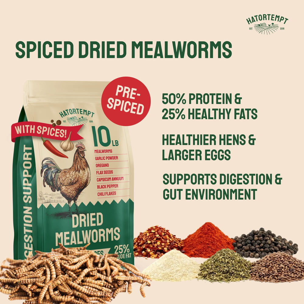 Close-up of Hatortempt Dried Mealworms showing texture