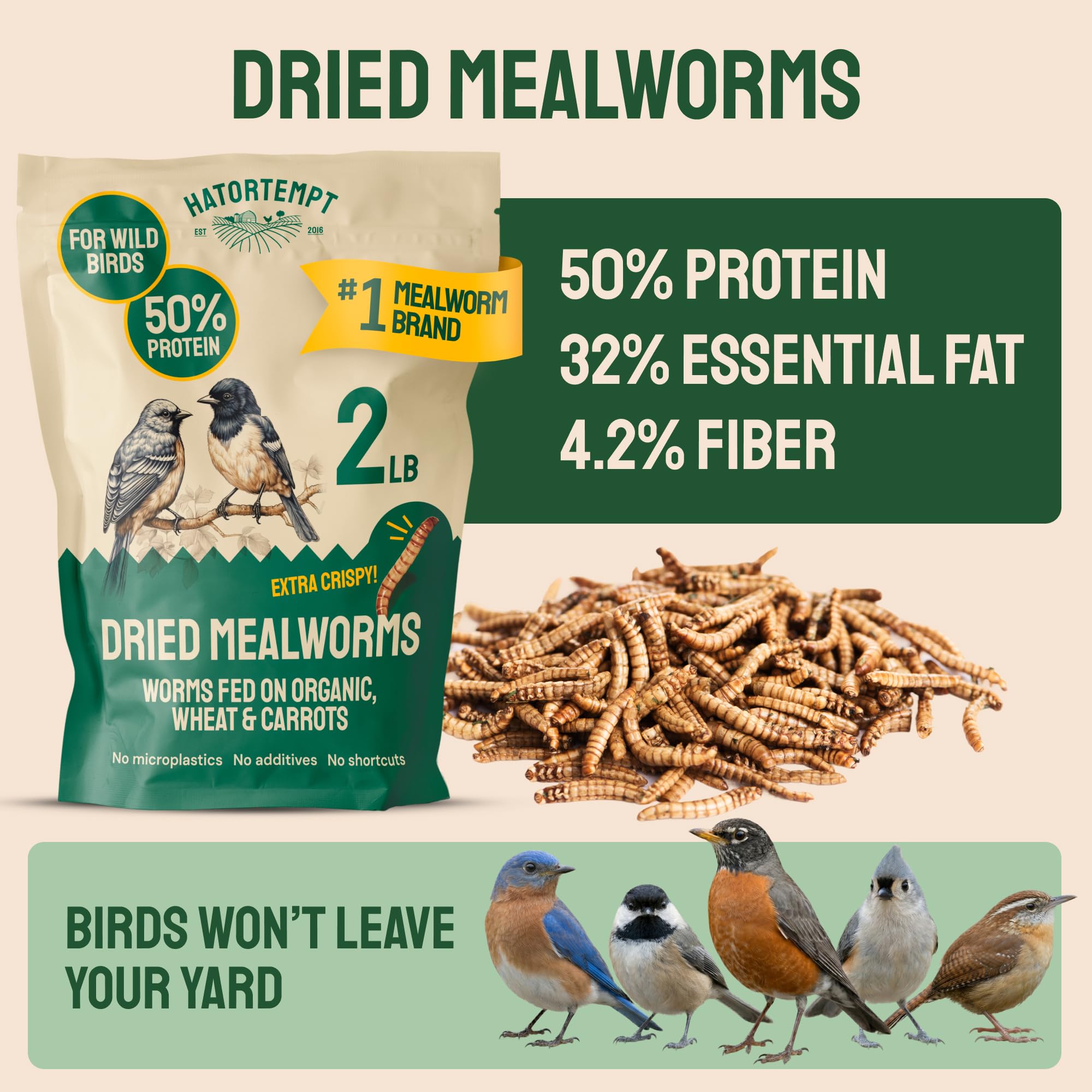 Close-up of Hatortempt dried mealworms showing their crispy texture