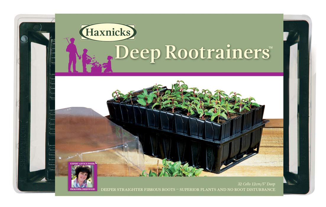 Close-up of Haxnicks Rootrainers showing deep cells for seedlings