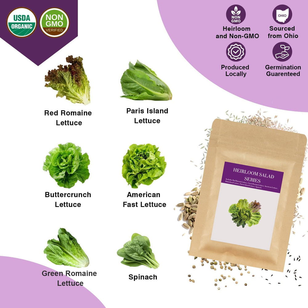 Close-up of heirloom seeds included in Majero kit