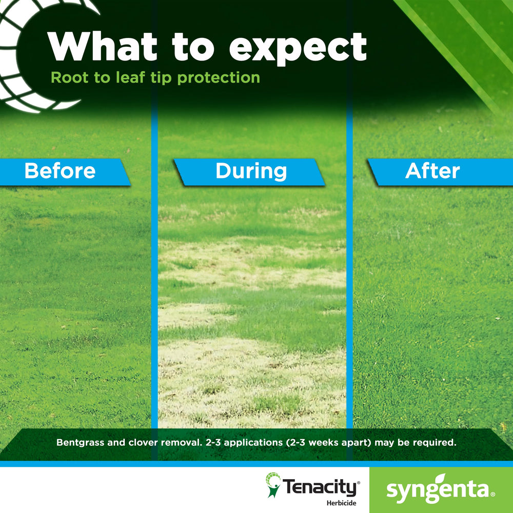 Close-up of herbicide liquid in spray bottle