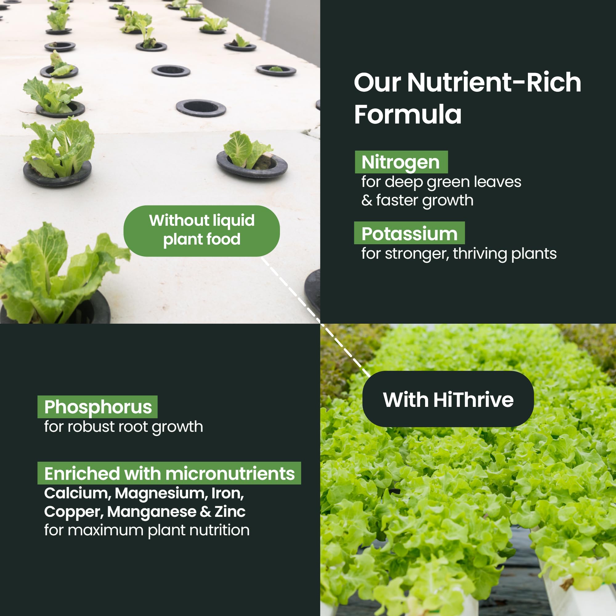 Close-up of HiThrive Fertilizer bottle and cap