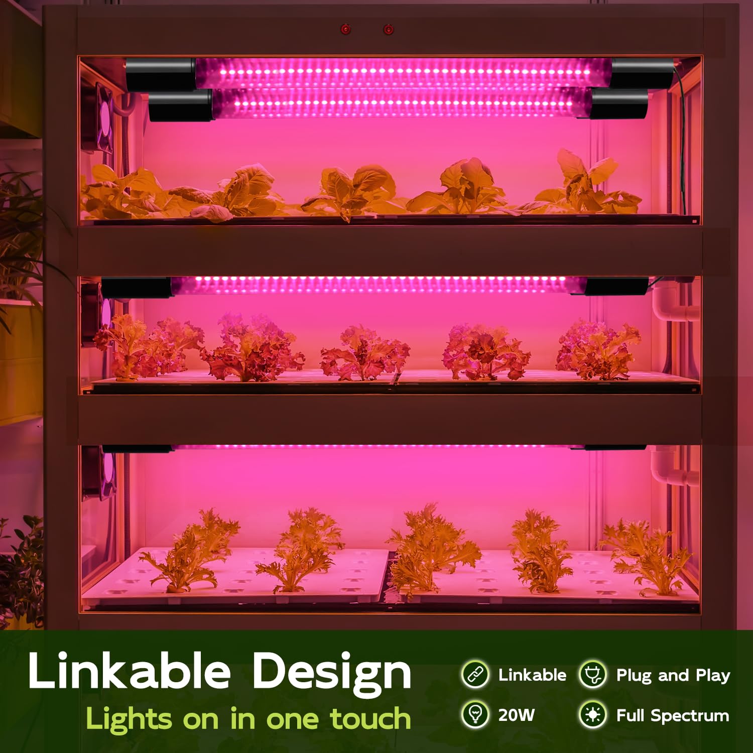 Close-up of Hlite LED Grow Light illuminating plants