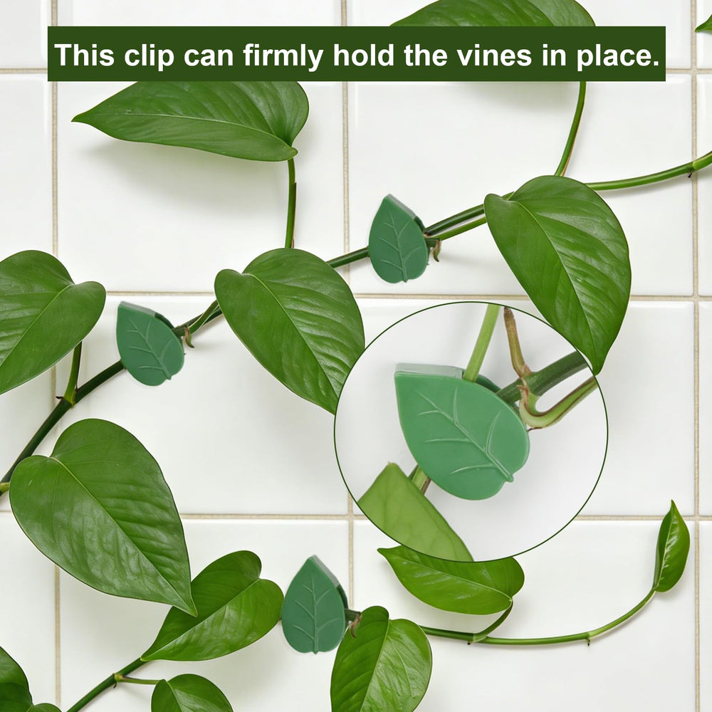 Close-up of HNHMT Plant Wall Clips on a smooth wall