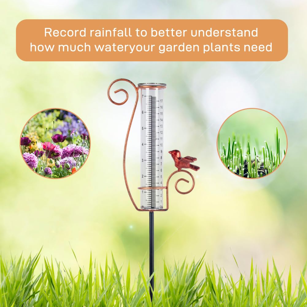 Close-up of HOBYLUBY Cardinal Rain Gauge glass tube