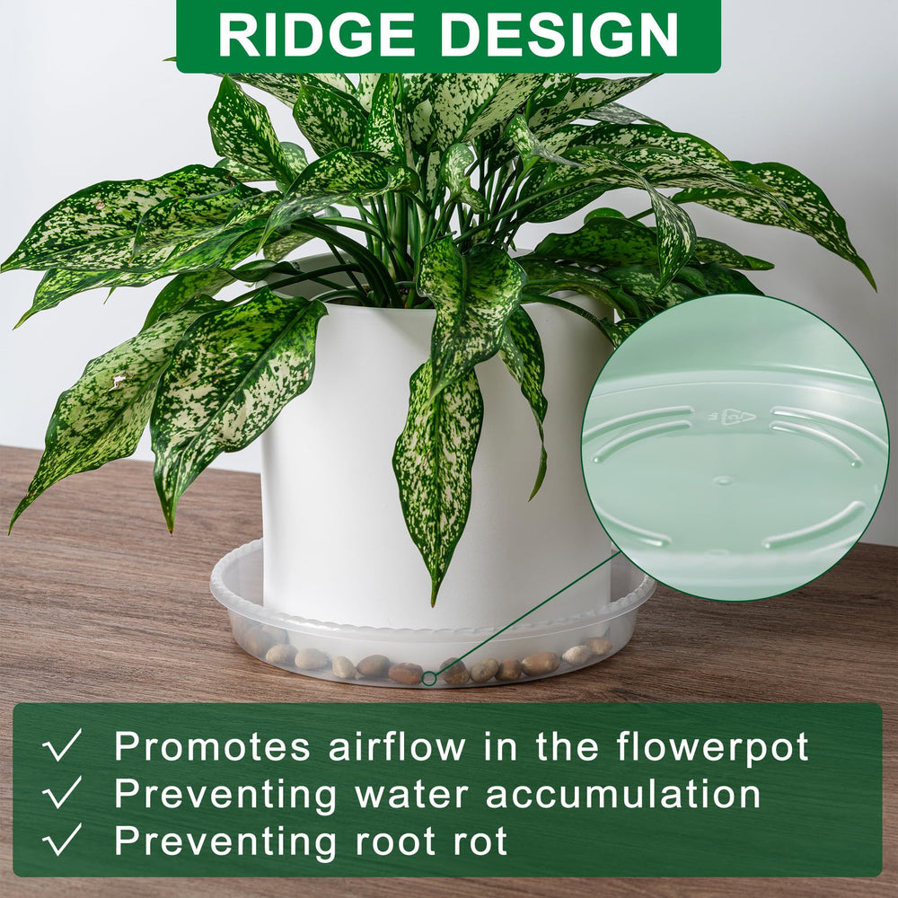 Close-up of Hoewina plant saucer showing drainage design