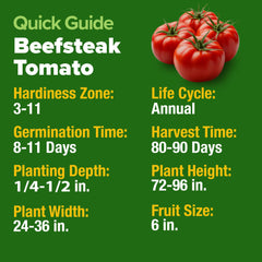 Close-up of HOMES GROWN Beefsteak tomato seeds