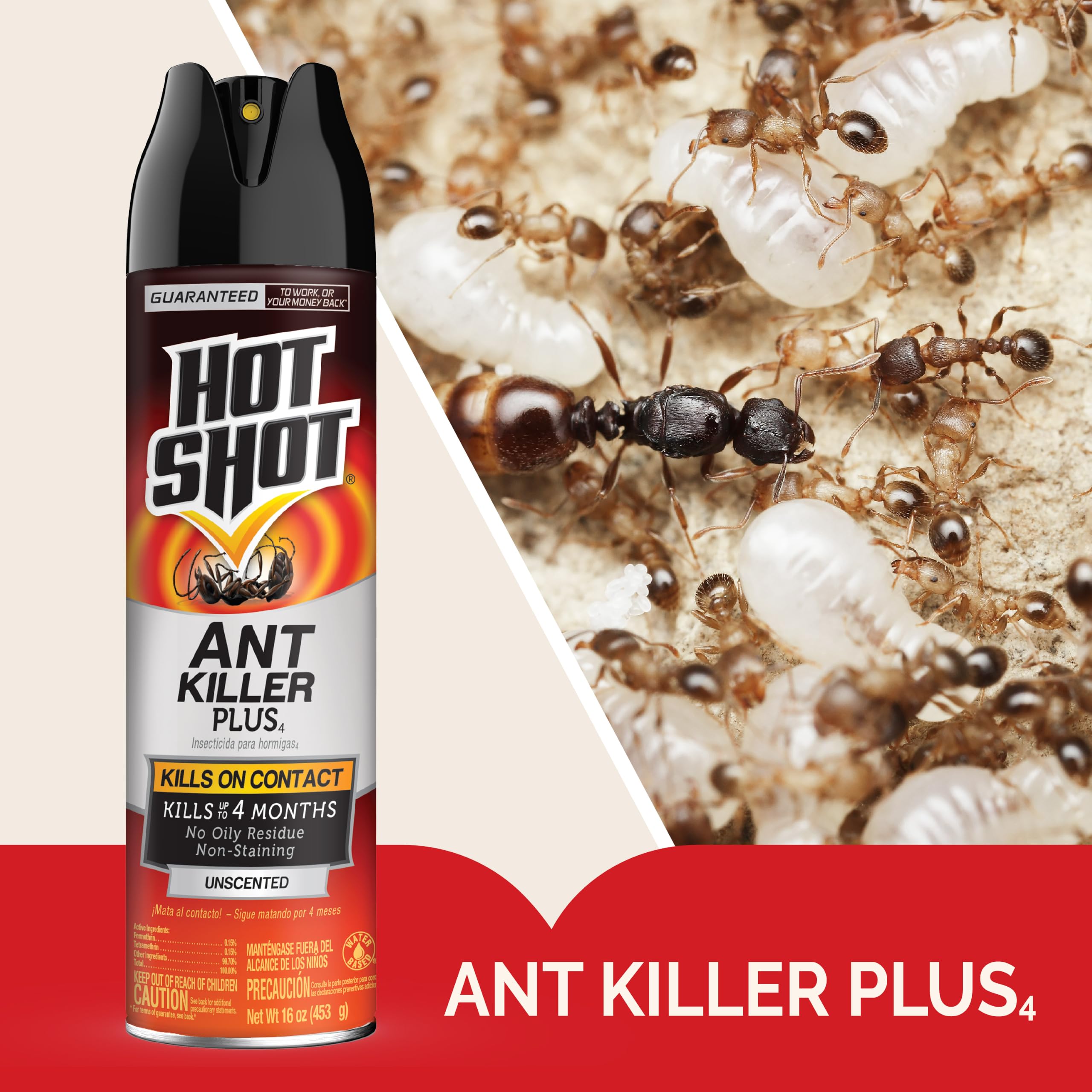 Close-up of HOT SHOT Ant Killer Plus aerosol spray nozzle