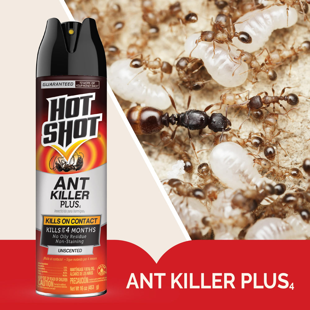 Close-up of HOT SHOT Ant Killer Plus aerosol spray nozzle