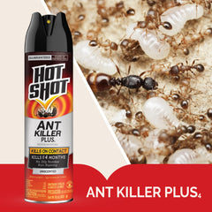 Close-up of HOT SHOT Ant Killer Plus aerosol spray nozzle