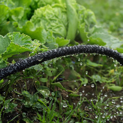 Close-up of Hourleey soaker hose showing evenly spaced holes