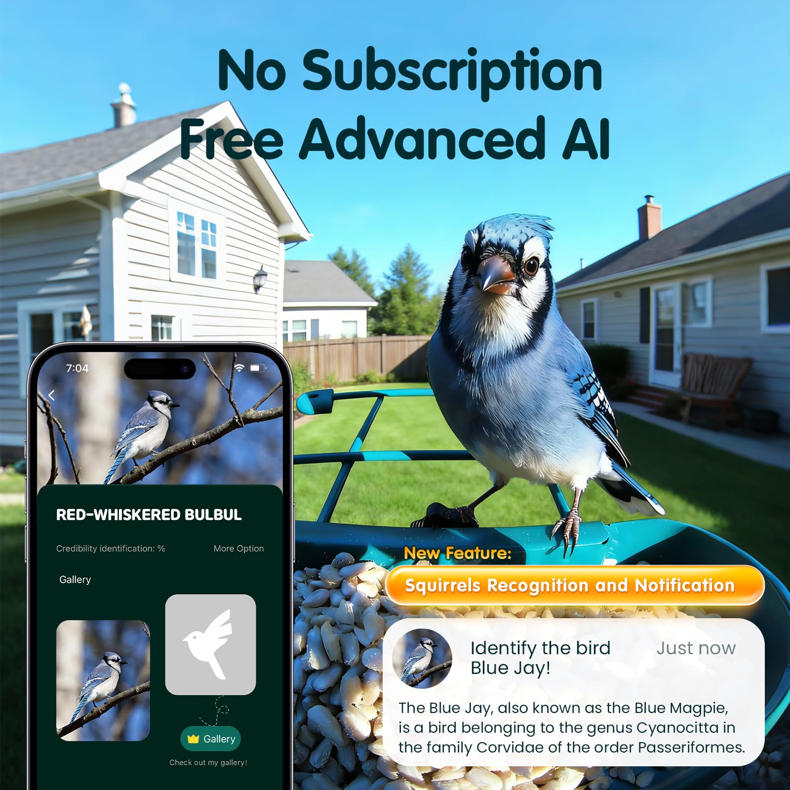 Close-up of Humbirdy 4K camera on bird feeder