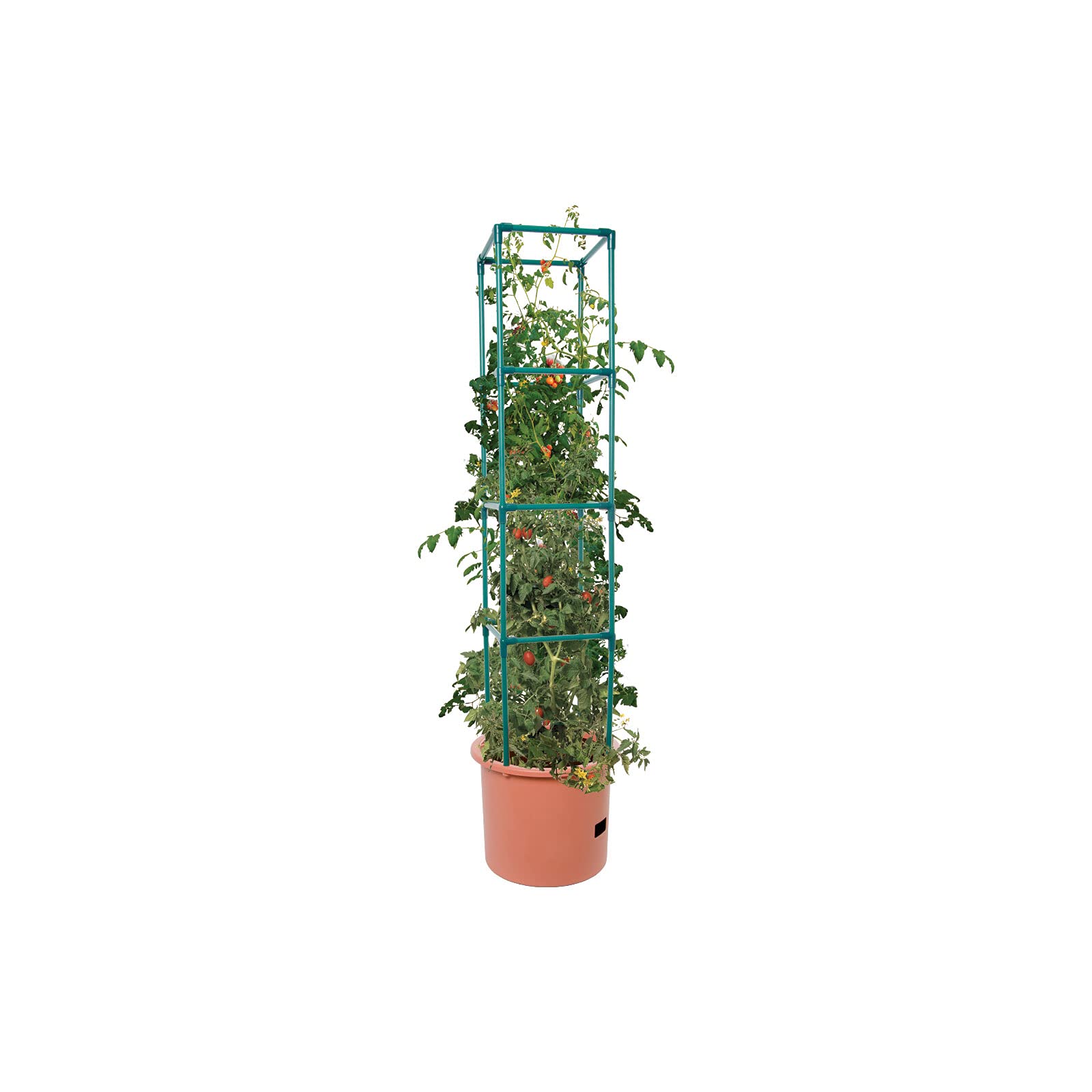 Close-up of Hydrofarm tomato barrel base and water reservoir