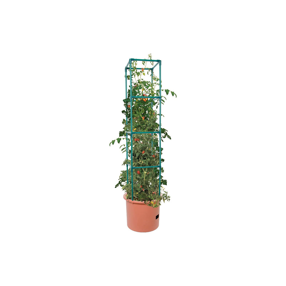 Close-up of Hydrofarm tomato barrel base and water reservoir