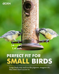 Close-up of iBorn Bird Feeder's six feeding ports and perches