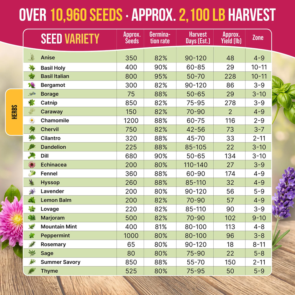 Close-up of individual seed packets in Organo Republic Herb Seeds Variety Pack