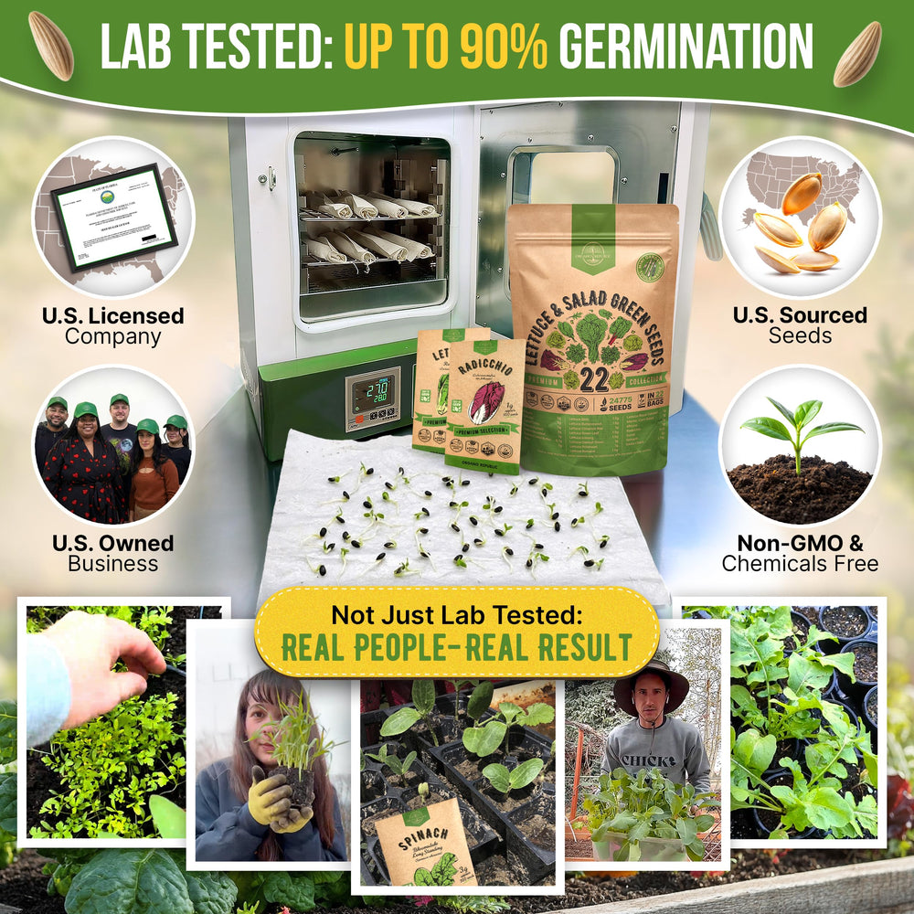 Close-up of individual seed packets in the Organo Republic kit