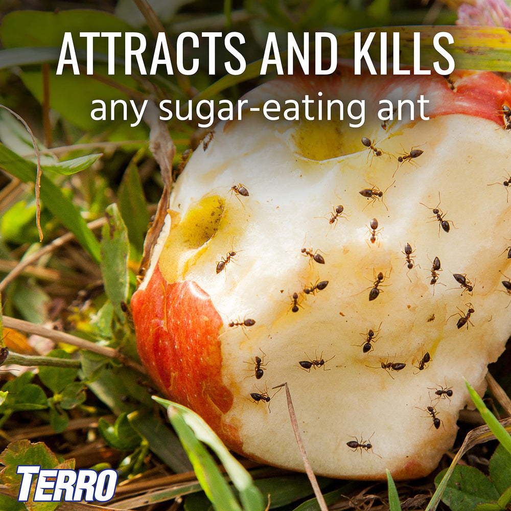 Close-up of individual Terro Ant Bait Station showing bait