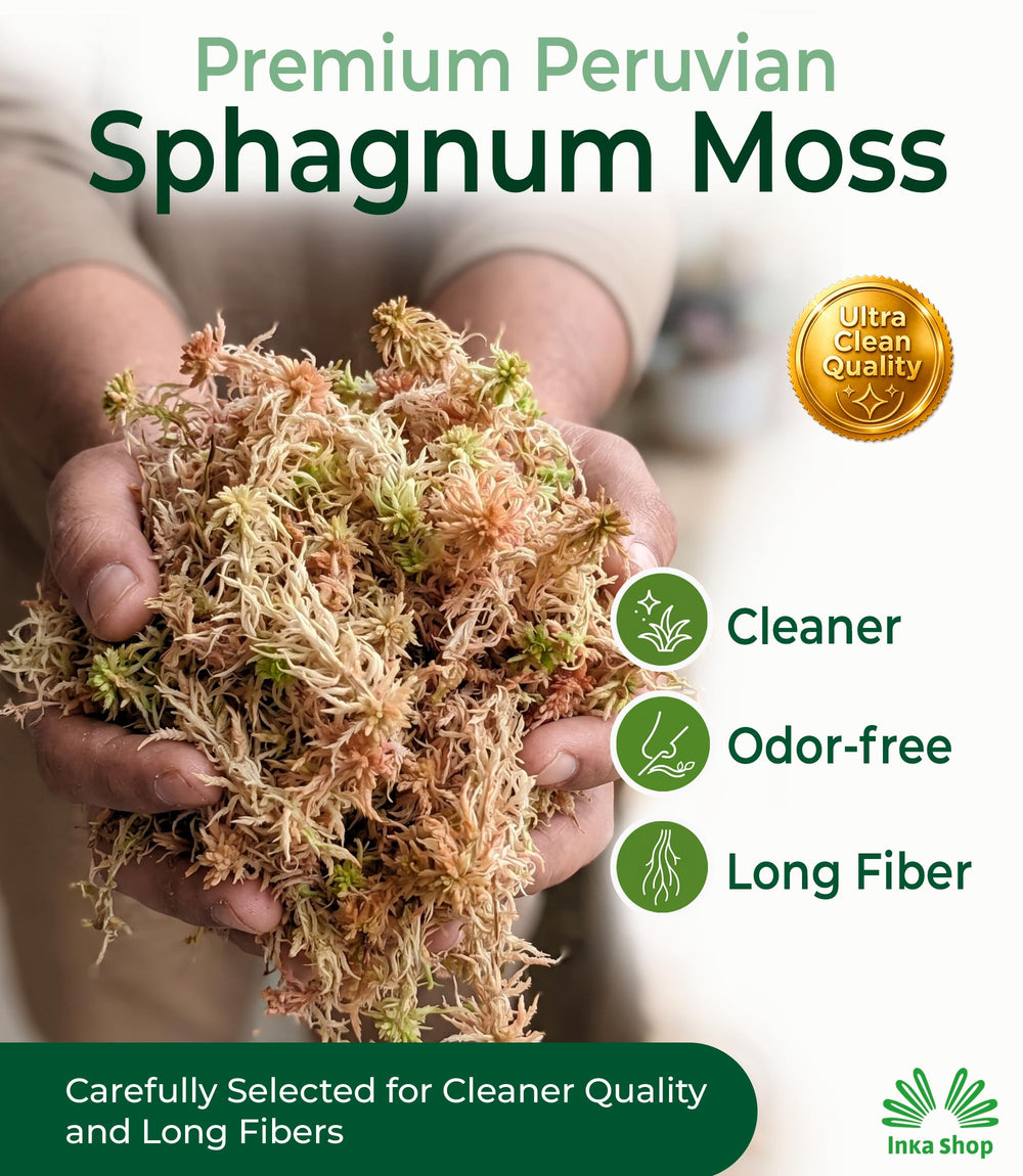 Close-up of INKA SHOP Sphagnum Moss fibers