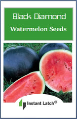 Close-up of Instant Latch Black Diamond Watermelon Seeds with planting instructions