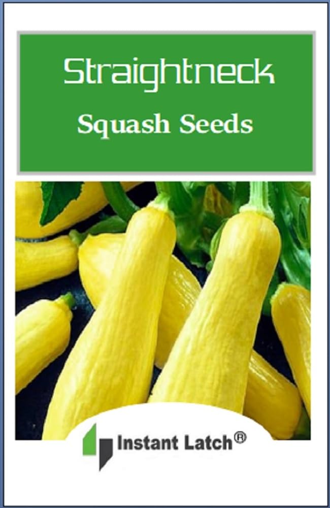 Close-up of Instant Latch Straightneck Squash Seeds with soil