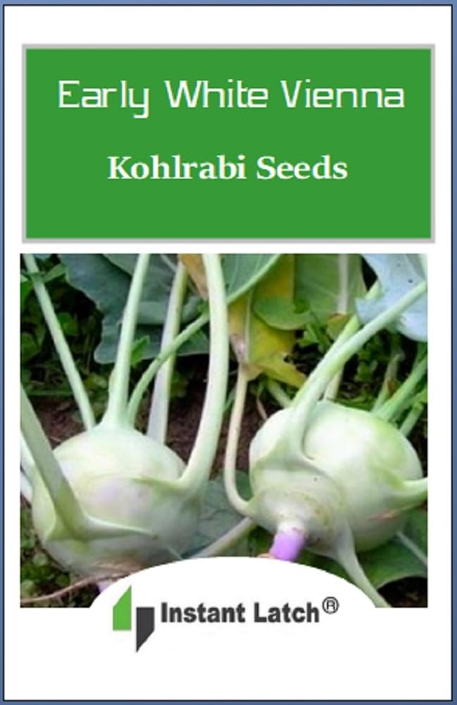 Close-up of Instant Latch White Vienna Kohlrabi Seeds with planting instructions