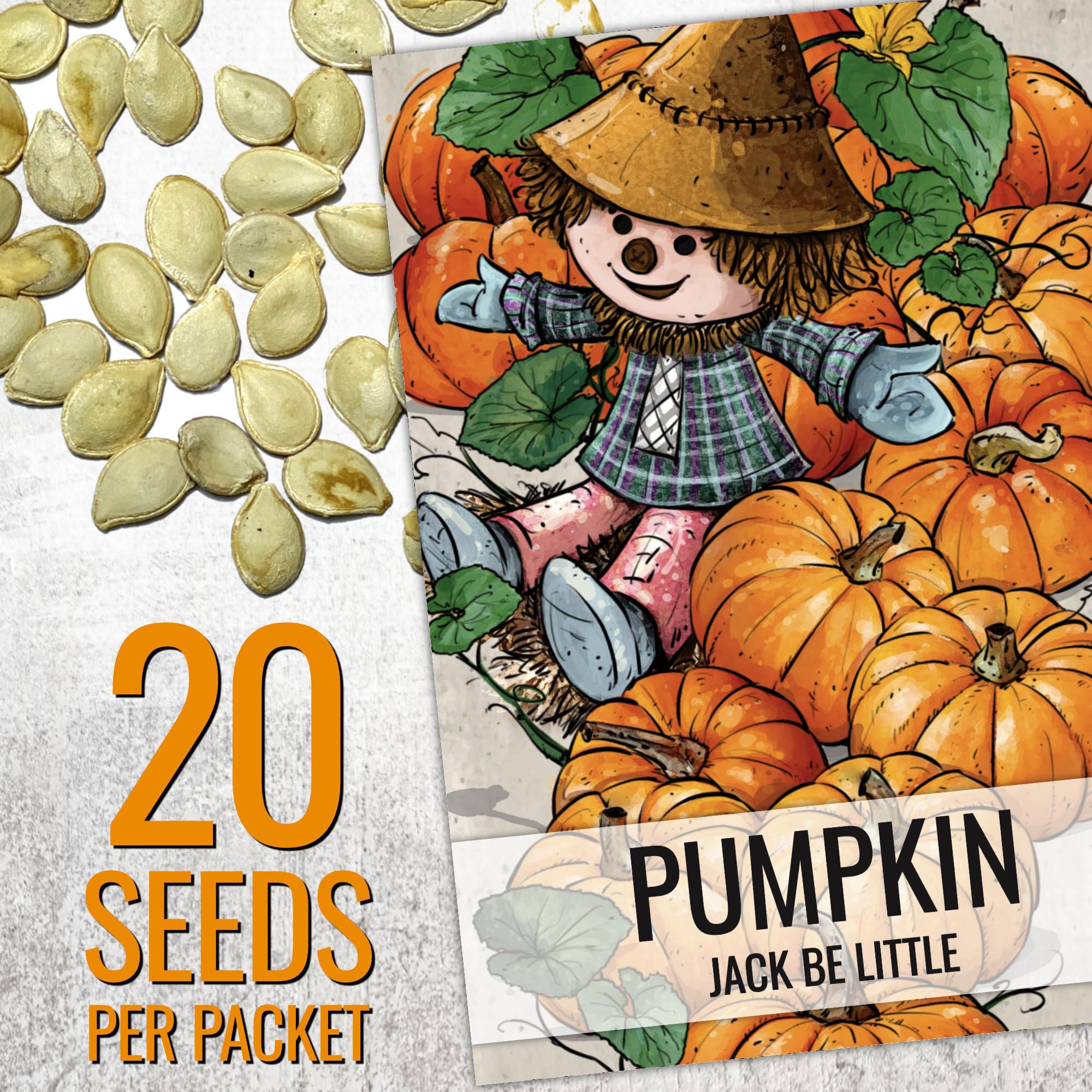 Close-up of Jack Be Little pumpkin seeds in packet