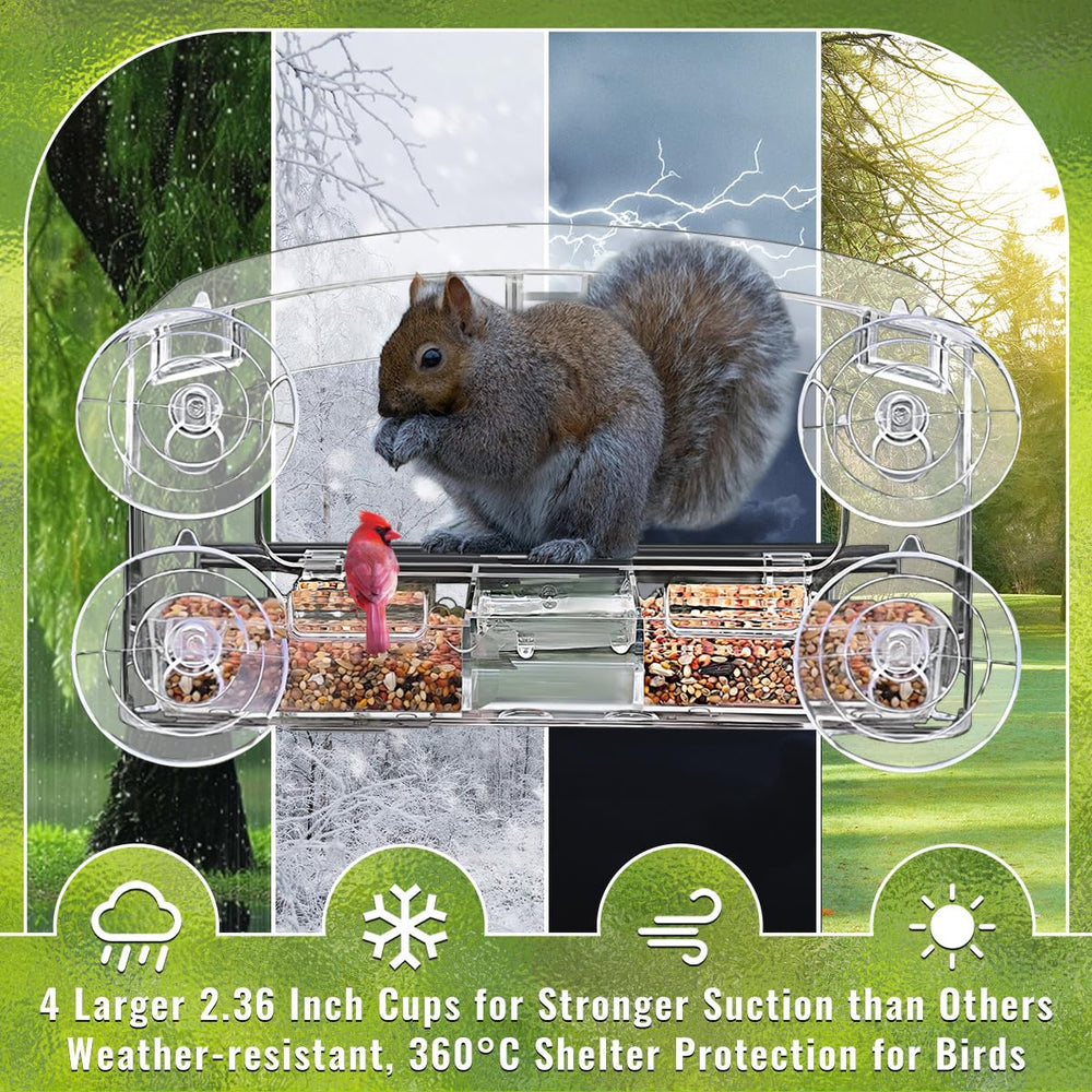 Close-up of Jarkyfine Window Bird Feeder suction cups